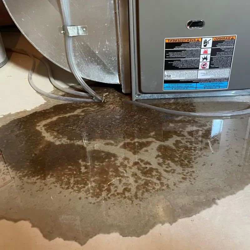 Pipe Burst and Leak Restoration in South Thomaston, ME